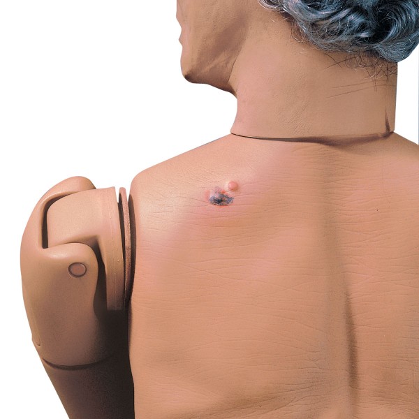 Modele / Manekiny pielęgnacyjne - dorośli 3B Scientific W44075