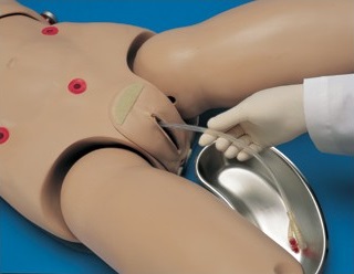 Modele / Manekiny pielęgnacyjne - dorośli 3B Scientific W45001