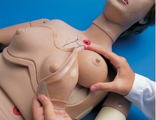 Modele / Manekiny pielęgnacyjne - dorośli 3B Scientific W45001