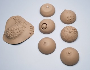 Modele / Manekiny pielęgnacyjne - dorośli 3B Scientific W45001