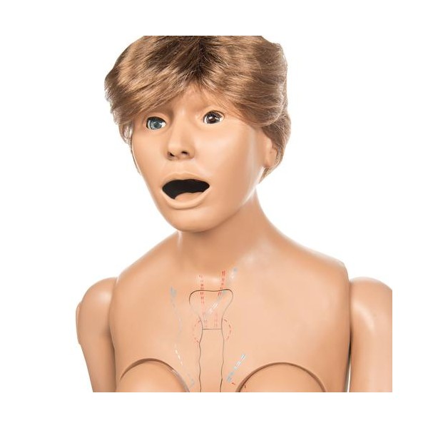 Modele / Manekiny pielęgnacyjne - dorośli 3B Scientific W45053