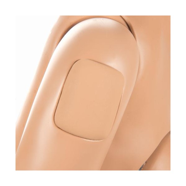 Modele / Manekiny pielęgnacyjne - dorośli 3B Scientific W45053