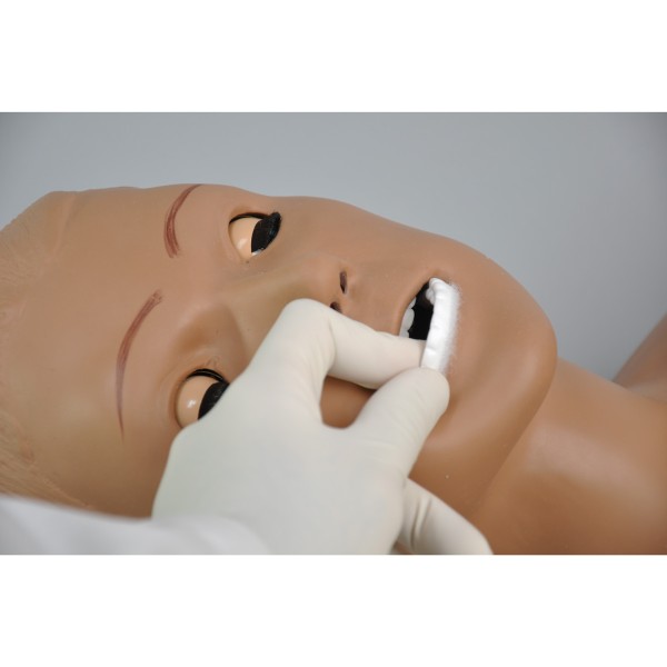 Modele / Manekiny pielęgnacyjne - dorośli 3B Scientific W45070