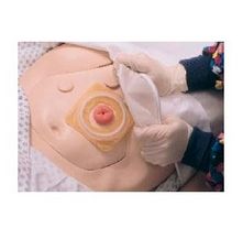 Modele / Manekiny pielęgnacyjne - dorośli Laerdal Nursing Anne