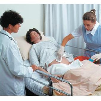 Modele / Manekiny pielęgnacyjne - dorośli Nasco SB23530U