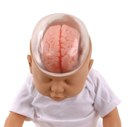 Modele / Manekiny pielęgnacyjne - dzieci i niemowlęta 3B Scientific W43117