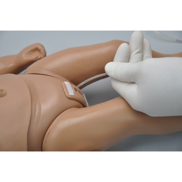 Modele / Manekiny pielęgnacyjne - dzieci i niemowlęta 3B Scientific W45055