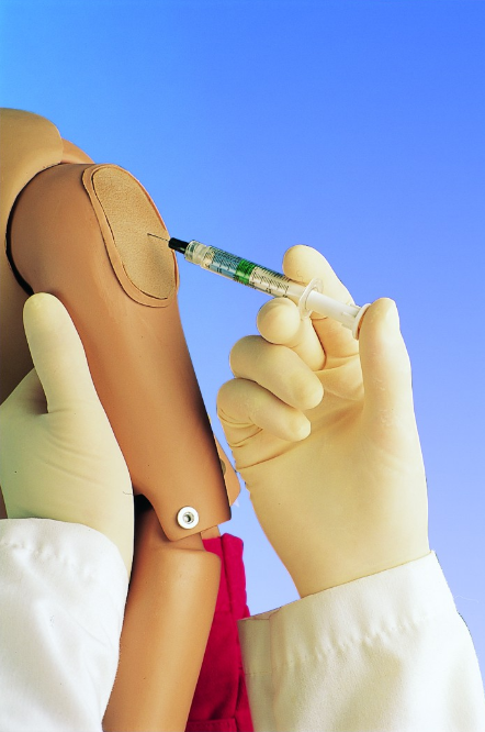 Modele / Manekiny pielęgnacyjne - dzieci i niemowlęta 3B Scientific W45085