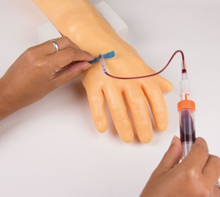 Modele zabiegowe 3B Scientific 7010