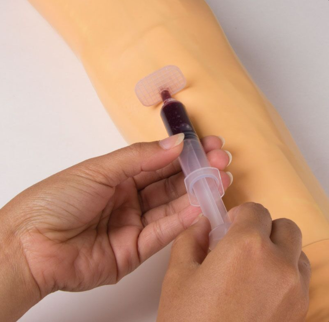 Modele zabiegowe 3B Scientific 7010