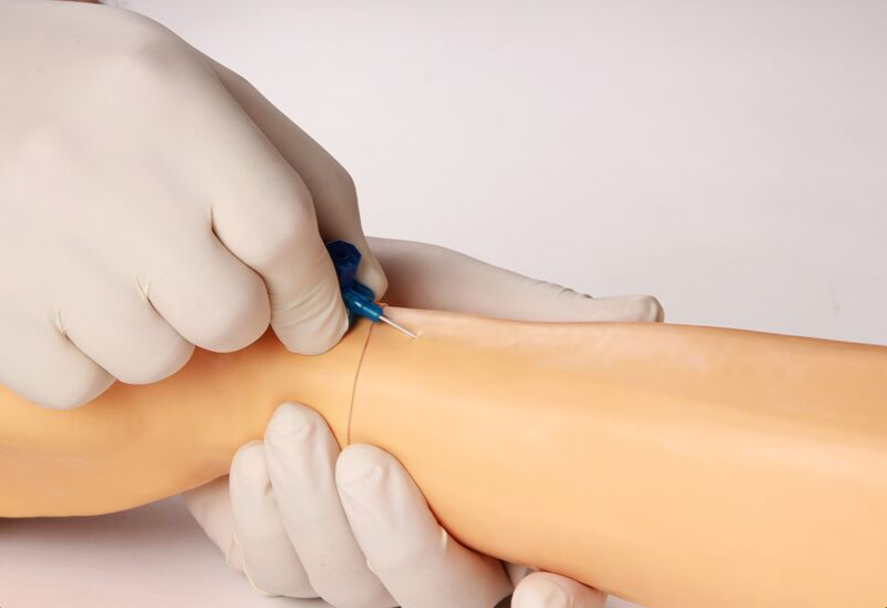 Modele zabiegowe 3B Scientific 7010