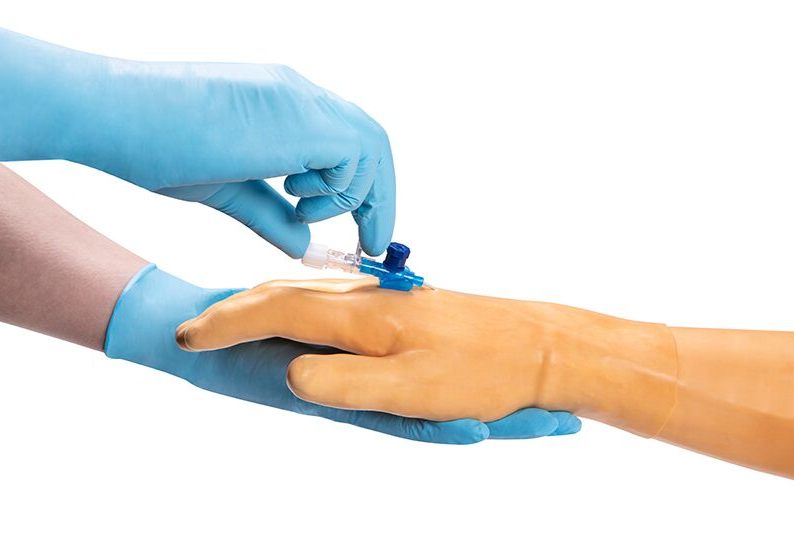 Modele zabiegowe 3B Scientific 7010