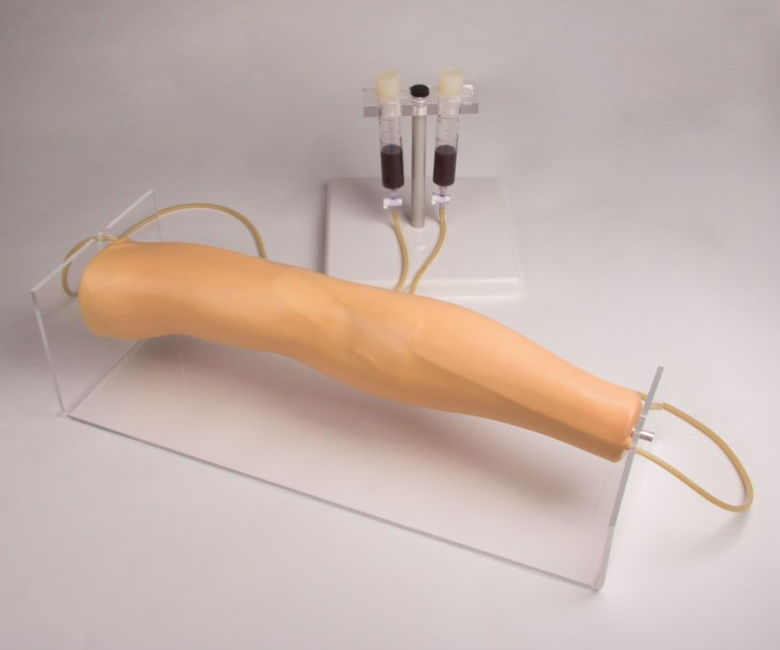 Modele zabiegowe 3B Scientific 7020