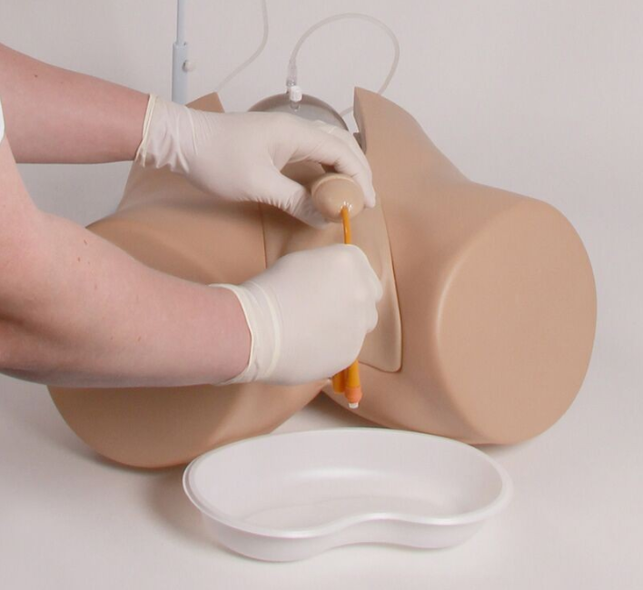 Modele zabiegowe 3B Scientific 7040