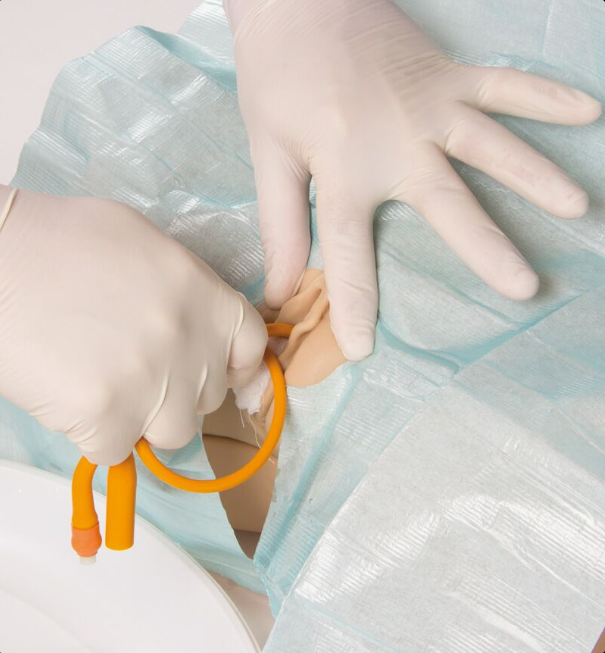 Modele zabiegowe 3B Scientific 7050