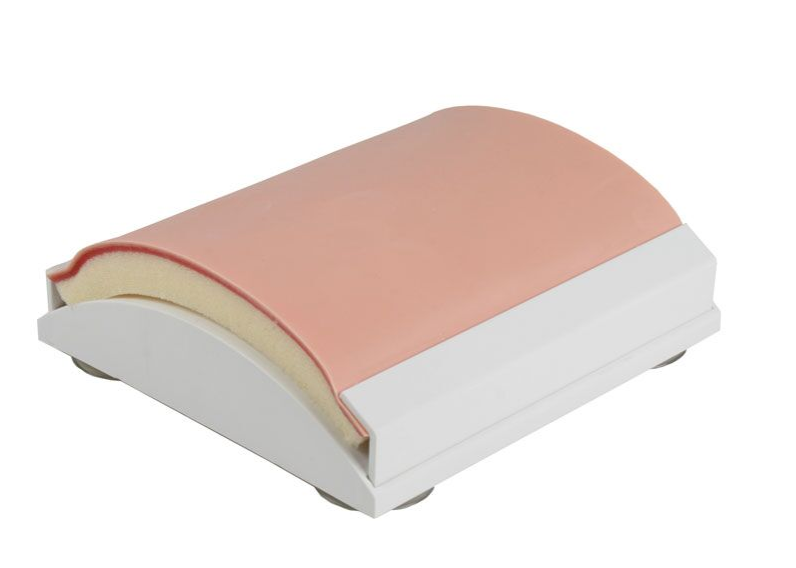 Modele zabiegowe 3B Scientific 7060