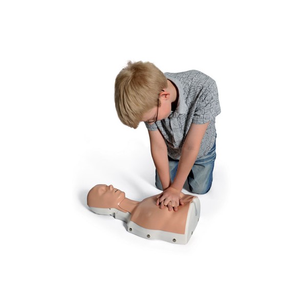 Modele zabiegowe 3B Scientific Basic Billy