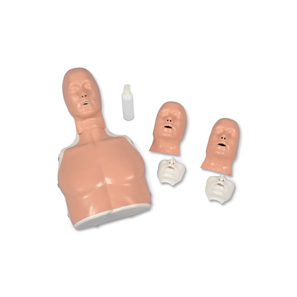 Modele zabiegowe 3B Scientific Basic Billy