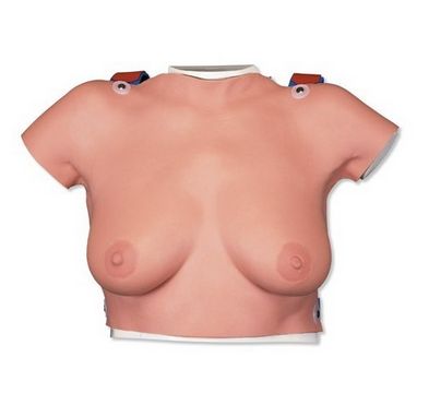 Modele zabiegowe 3B Scientific L51