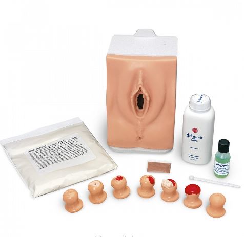 Modele zabiegowe 3B Scientific M-1018643