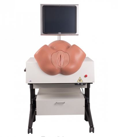 Modele zabiegowe 3B Scientific P-80/1