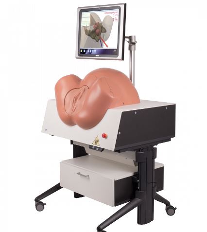 Modele zabiegowe 3B Scientific P-80/1