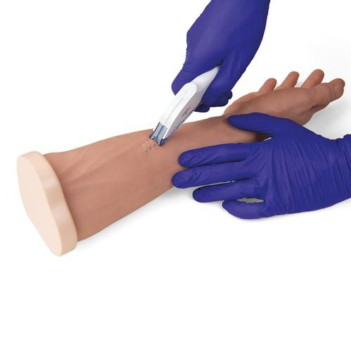 Modele zabiegowe 3B Scientific P101