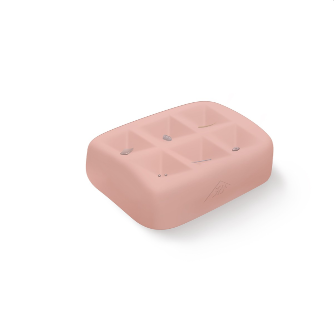 Modele zabiegowe 3B Scientific P121