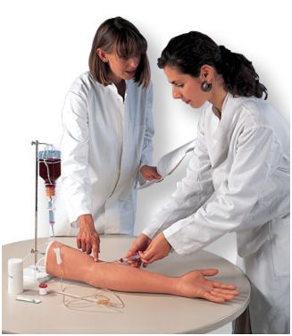 Modele zabiegowe 3B Scientific P50