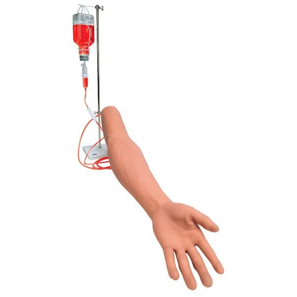 Modele zabiegowe 3B Scientific P50/1