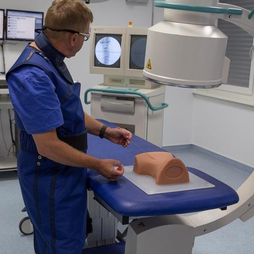 Modele zabiegowe 3B Scientific P67