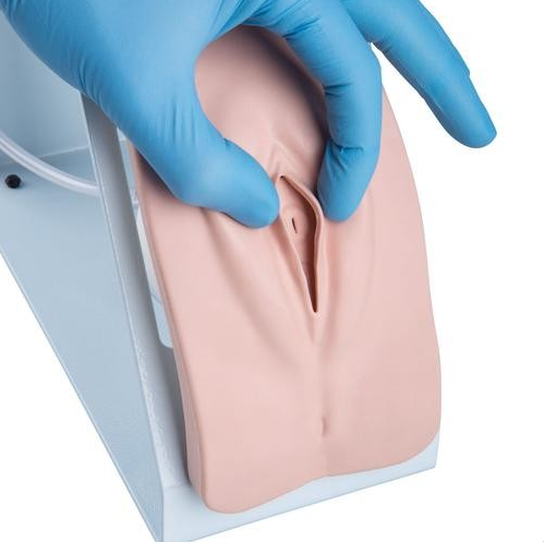 Modele zabiegowe 3B Scientific P93B-S