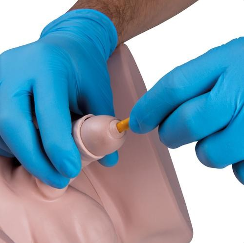 Modele zabiegowe 3B Scientific P93P-M