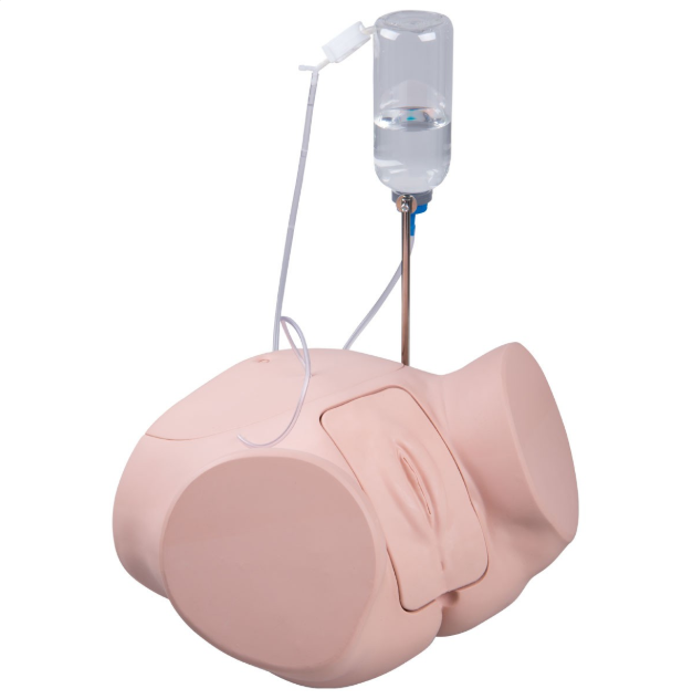 Modele zabiegowe 3B Scientific P93P-S