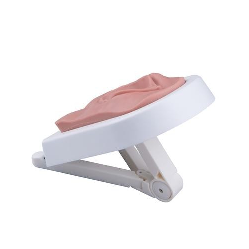 Modele zabiegowe 3B Scientific P95