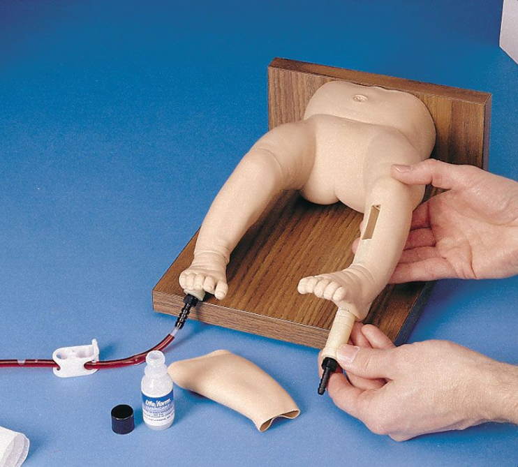 Modele zabiegowe 3B Scientific R10041