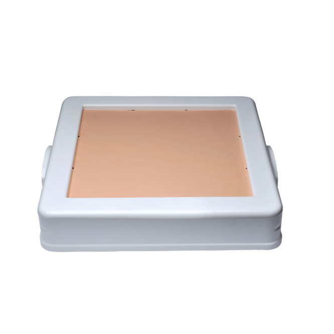 Modele zabiegowe 3B Scientific W19316