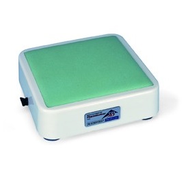 Modele zabiegowe 3B Scientific W19324