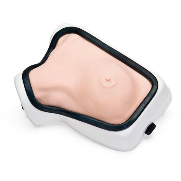 Modele zabiegowe 3B Scientific W19340