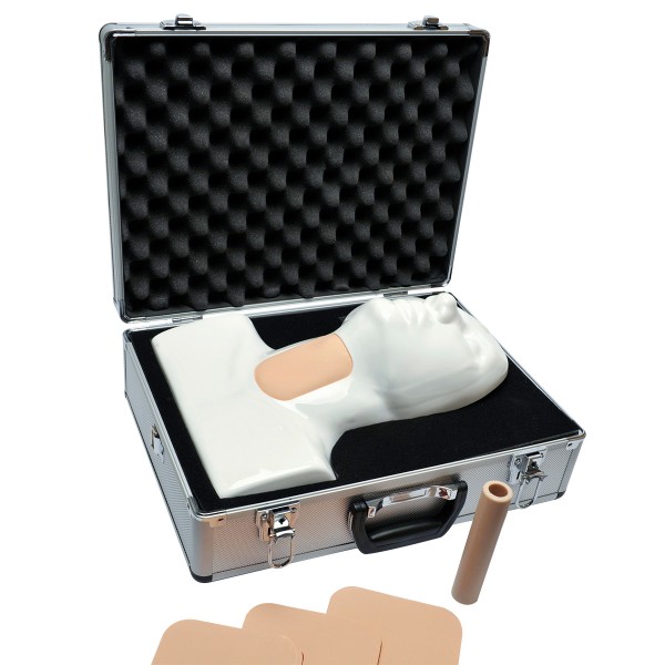 Modele zabiegowe 3B Scientific W19361