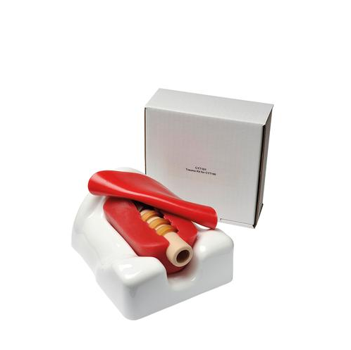 Modele zabiegowe 3B Scientific W19365