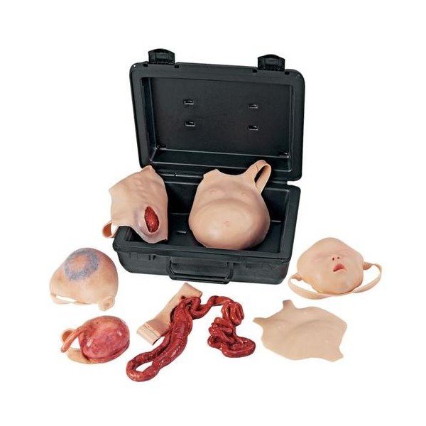 Modele zabiegowe 3B Scientific W19368