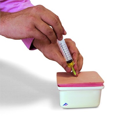 Modele zabiegowe 3B Scientific W19375