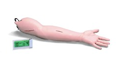 Modele zabiegowe 3B Scientific W44003