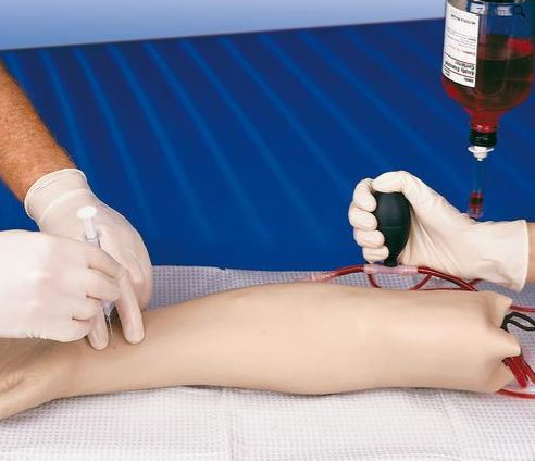 Modele zabiegowe 3B Scientific W44022