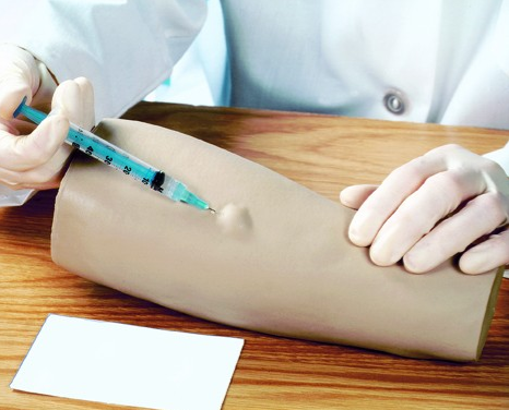 Modele zabiegowe 3B Scientific W44097