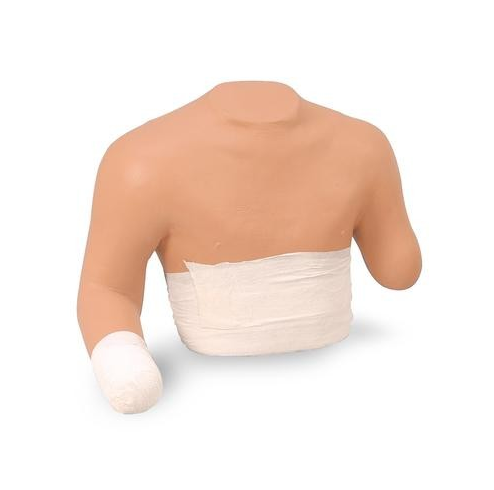 Modele zabiegowe 3B Scientific W44226