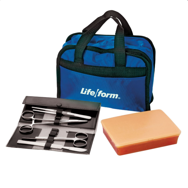 Modele zabiegowe 3B Scientific W44423