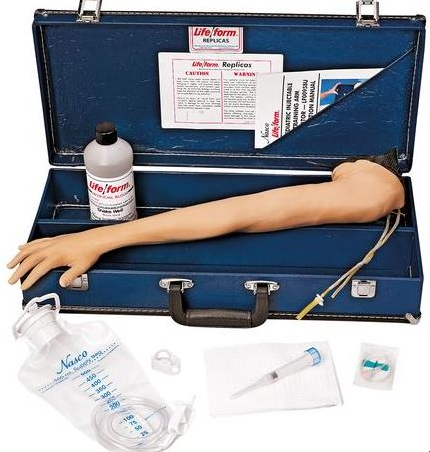 Modele zabiegowe 3B Scientific W44715