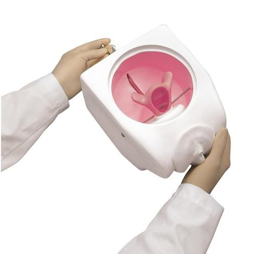 Modele zabiegowe 3B Scientific W45009